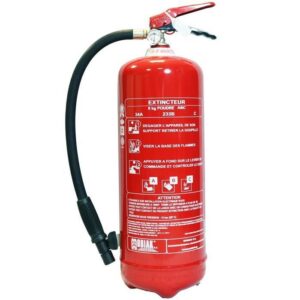 Ex. POUDRE 6 ABC 6KG